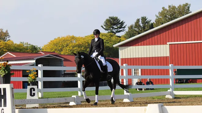 Image: Dressage Schooling Show