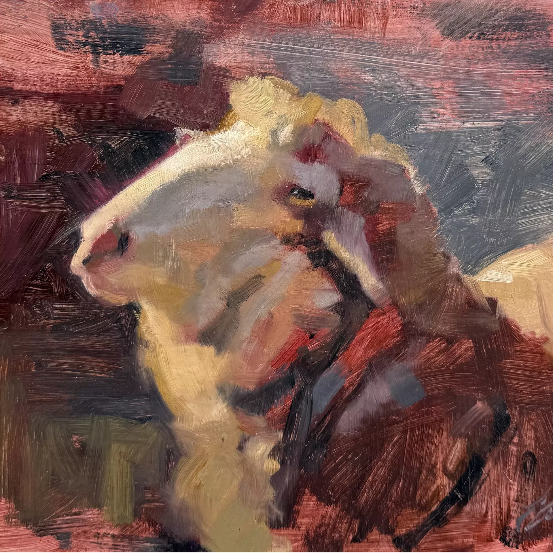 "Lilly" by Elizabeth Allen