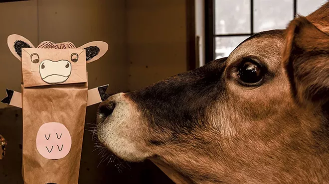 Image: Enterprising Vermonters Go Virtual With Online Classes, Tours and Cute Animals