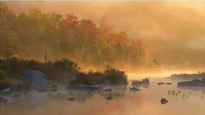 Image: 'Ephemeral Meditations'