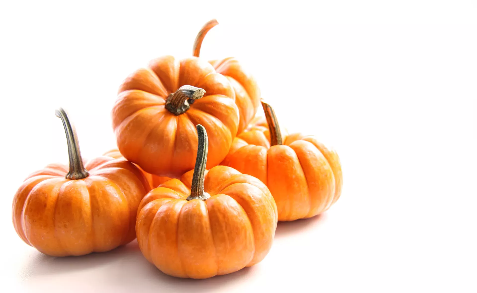pumpkins_sandra_cunningham_dreamstime.com.webp