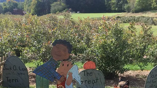 Image: Fall Festival
