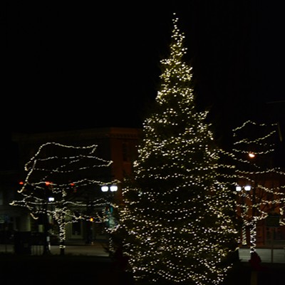 Festival of Trees: Downtown Tree Lighting & Laser Light Show