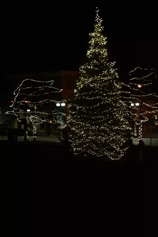 Image: Festival of Trees: Downtown Tree Lighting & Laser Light Show