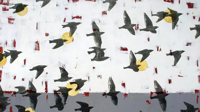 Image: 'Flight Patterns'
