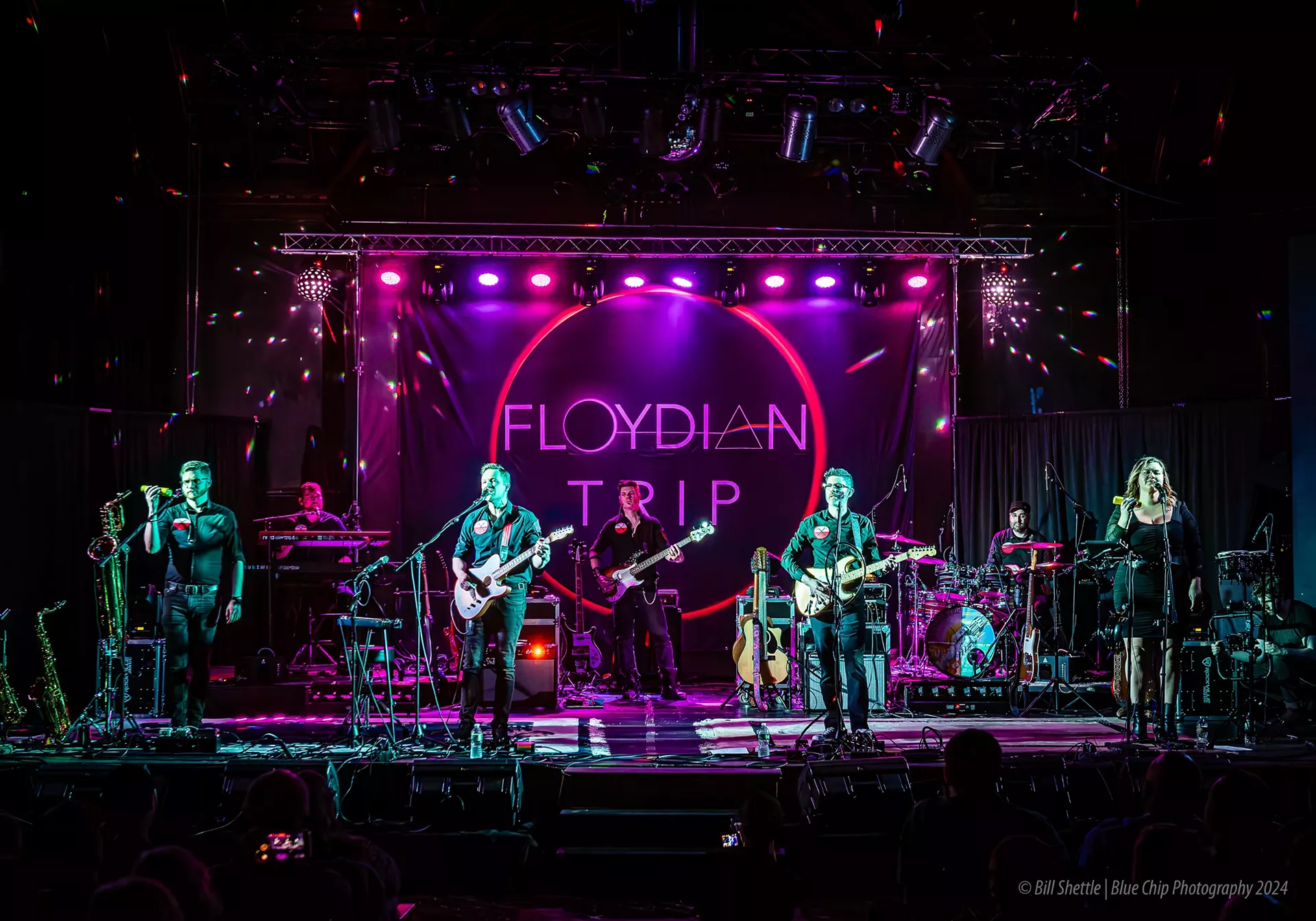 floydian_trip_5_2024.webp