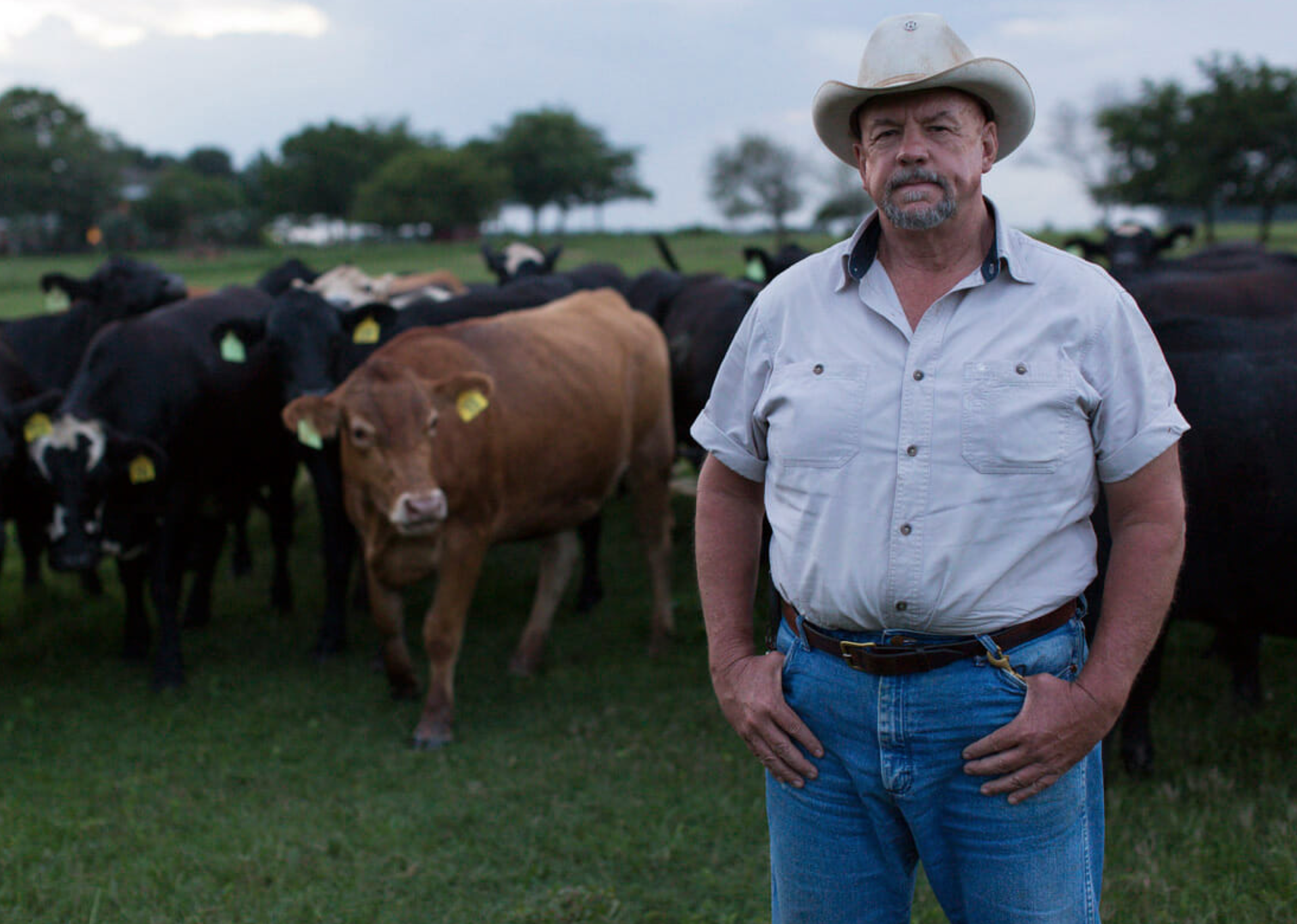 Will Harris of White Oak Pastures