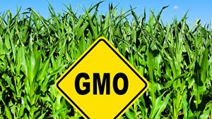 Food Giants Sue to Block Vermont's GMO Labeling Law