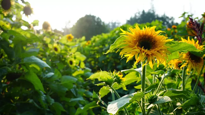Image: Garden Day 2024