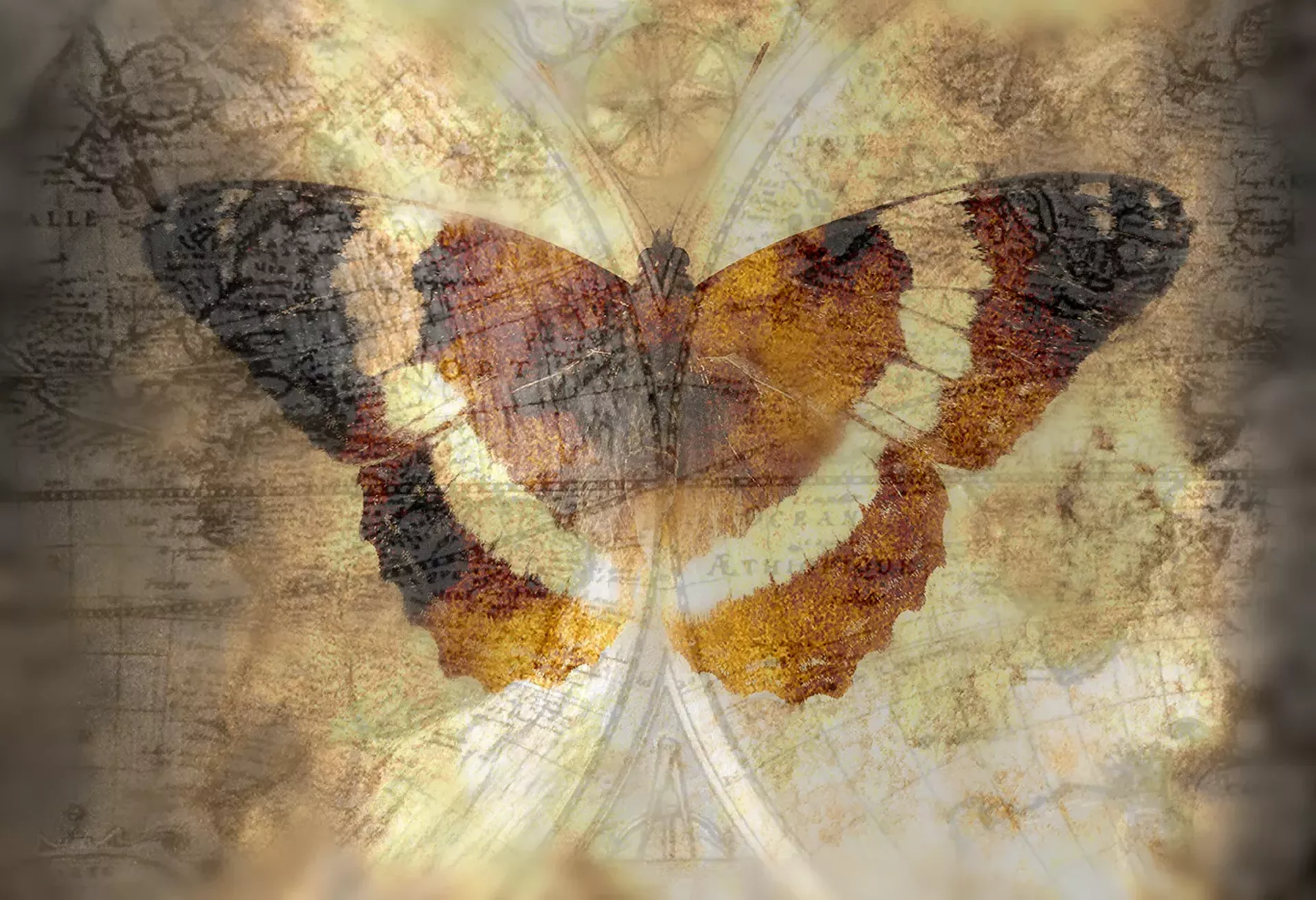 "Winged Navigation" by Roarke Sharlow