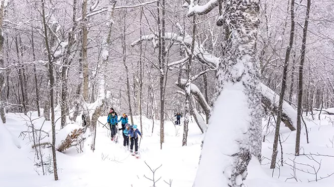 Image: Hard-core Skiers Take to Uphilling the Slopes