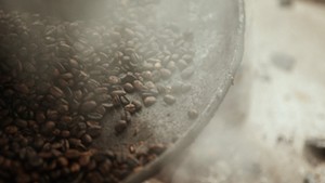 Honduran coffee beans (A Film About Coffee)