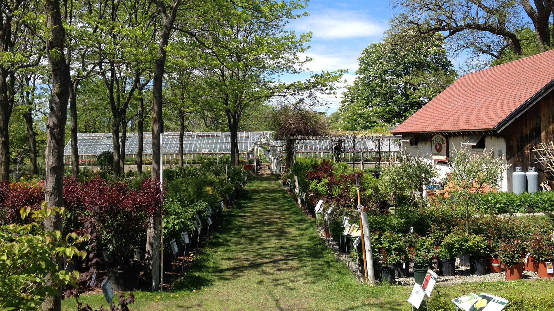 horsfordphoto.png