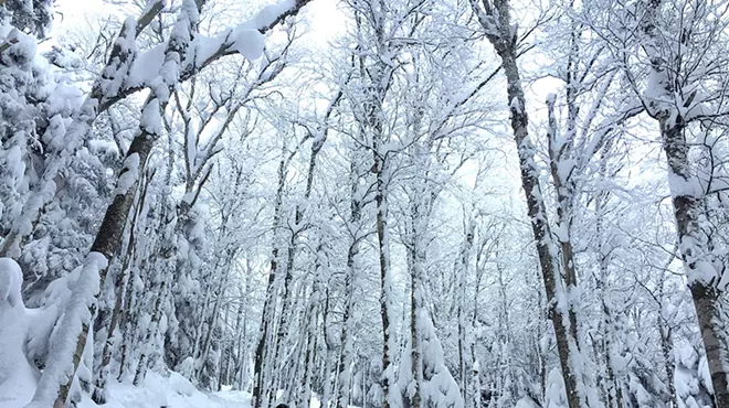 Image: How to (Eat and) Make the Most of a Powder Day