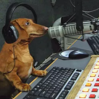 Image: In Memoriam: Hobbes, Canine Host of the "Bruce & Hobbes" Radio Show