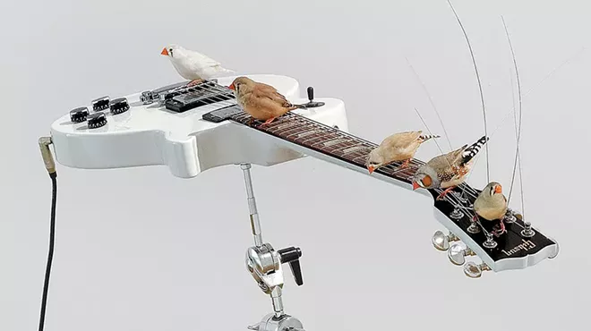 Image: In Montr&eacute;al, an Art Installation for the Birds