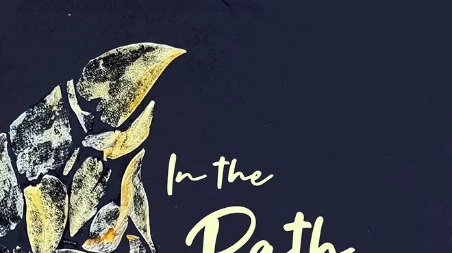 Image: 'In the Path of Shade'