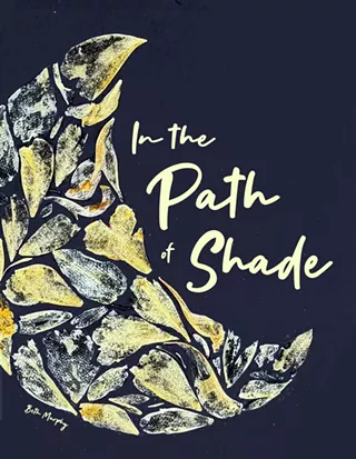 Image: 'In the Path of Shade'