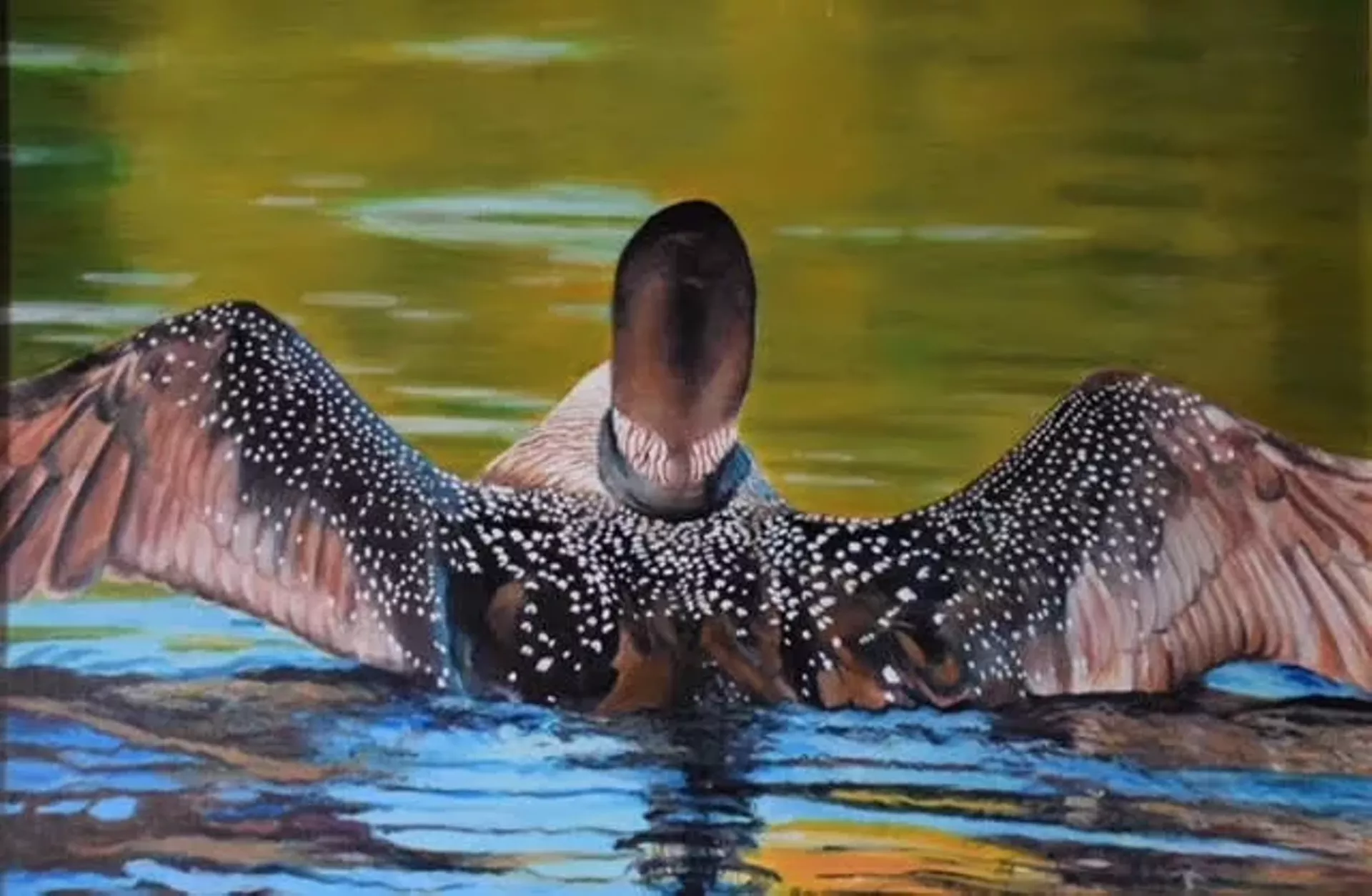 "Loon" by Jay Hudson