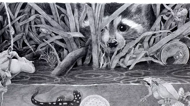 Image: Joan Waltermire