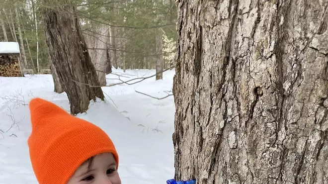 Image: Journey From Sap to Syrup: A Family Program