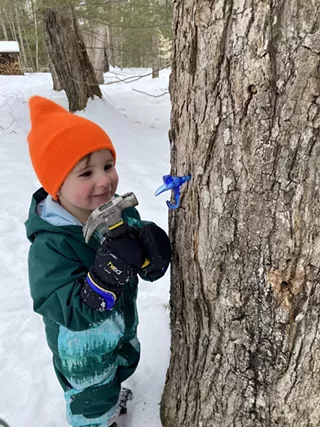 Image: Journey From Sap to Syrup: A Family Program