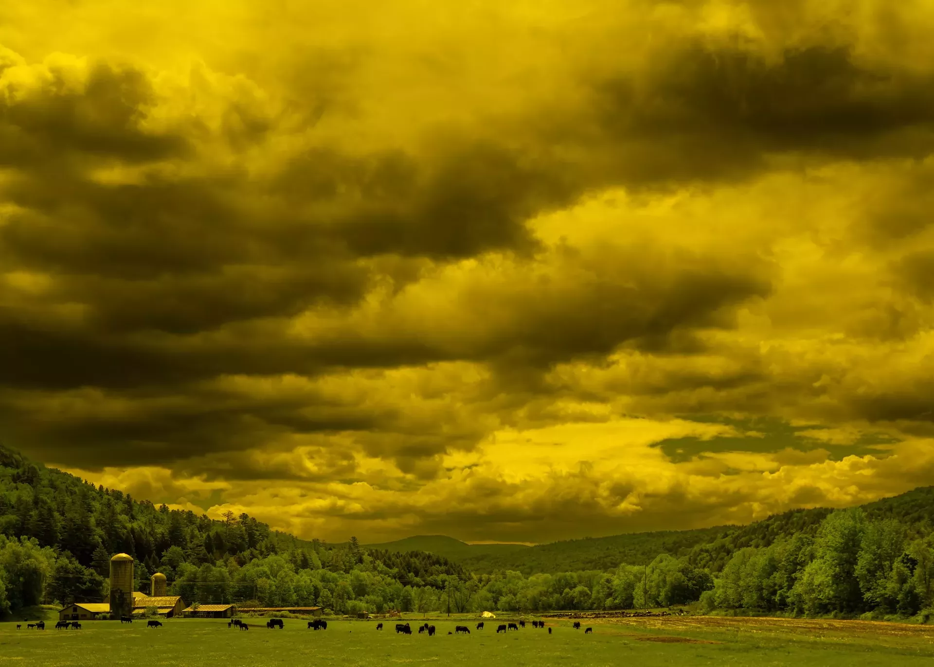 "The Golden Hour Before Rain" by Juan Carlos Gonzalez