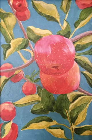 Image: Judith Callens