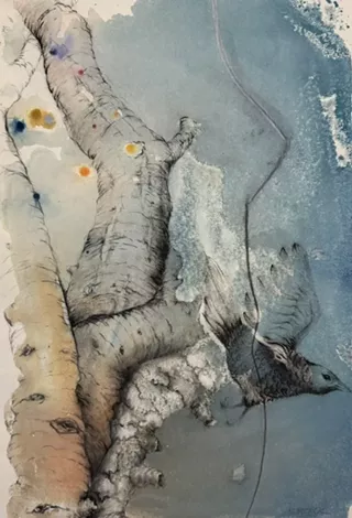 Image: Karen Becker