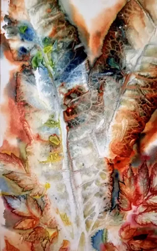 Image: Kate Reeves