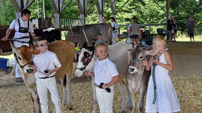 Image: Lamoille County Field Days