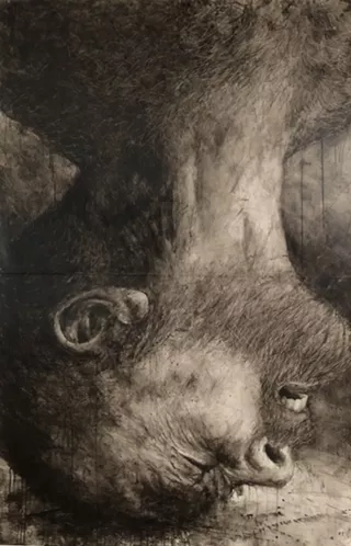 Image: Leonard Ragouzeos