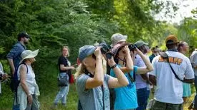 Image: Let's Go Birding