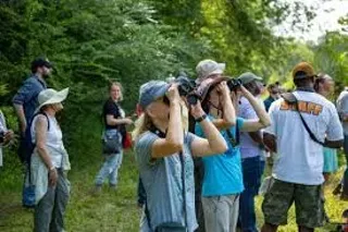 Image: Let's Go Birding