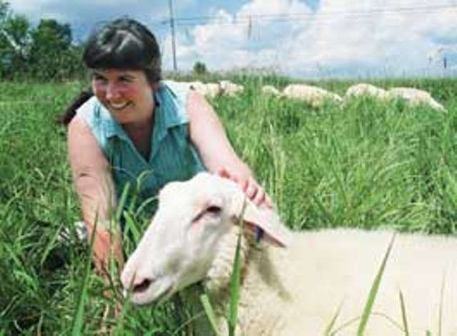 Linda Faillace with her controversial sheep