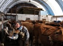 Raw Deal? Farmers Push Back Against Unpasteurized Milk Regulations