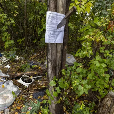 Image: Living at Sears Lane