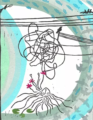Image: Maedeh Asgharpour