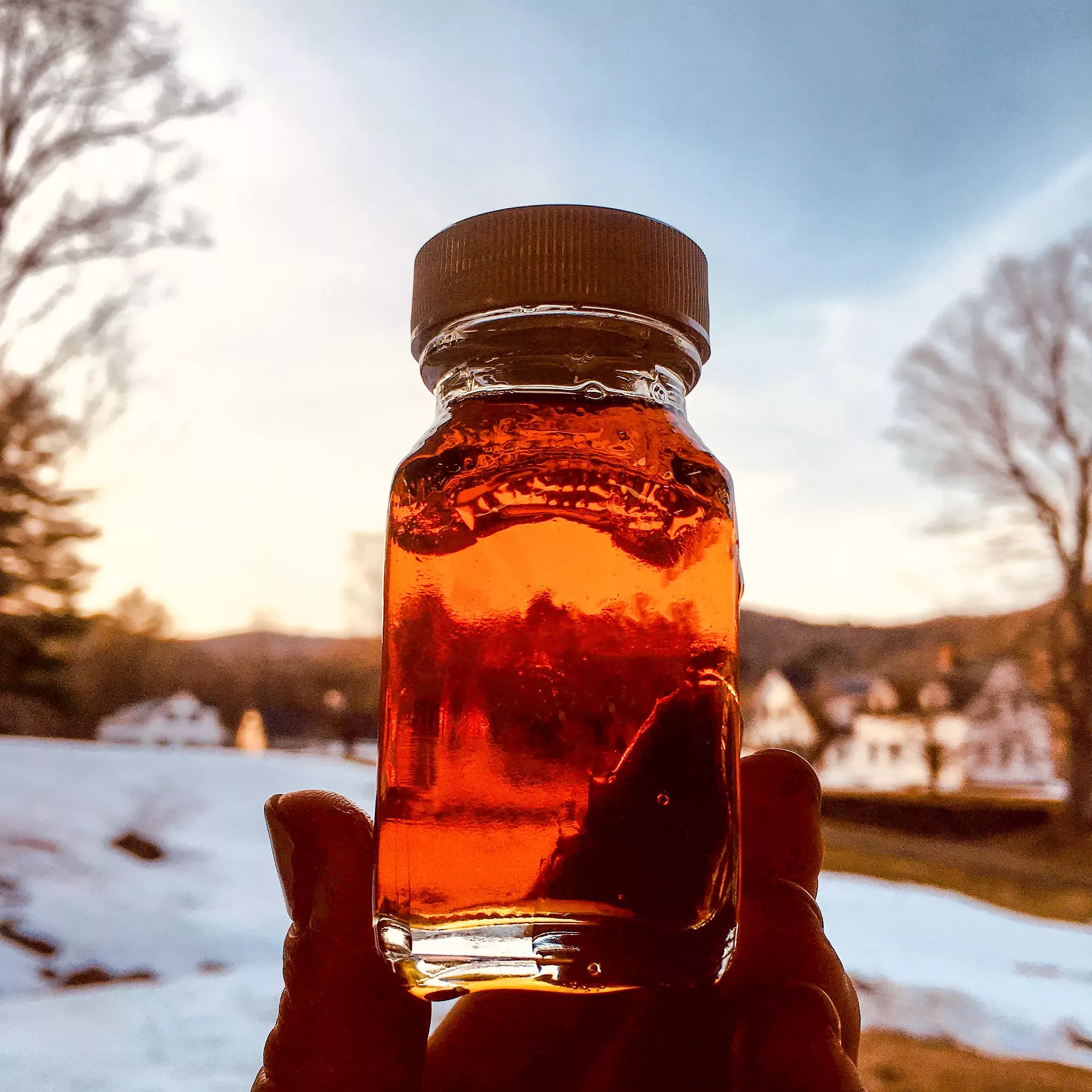 bourdon_maple_farm.webp