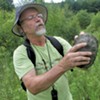 Uncovering Vermont's Elusive Wood Turtles With Mark Powell