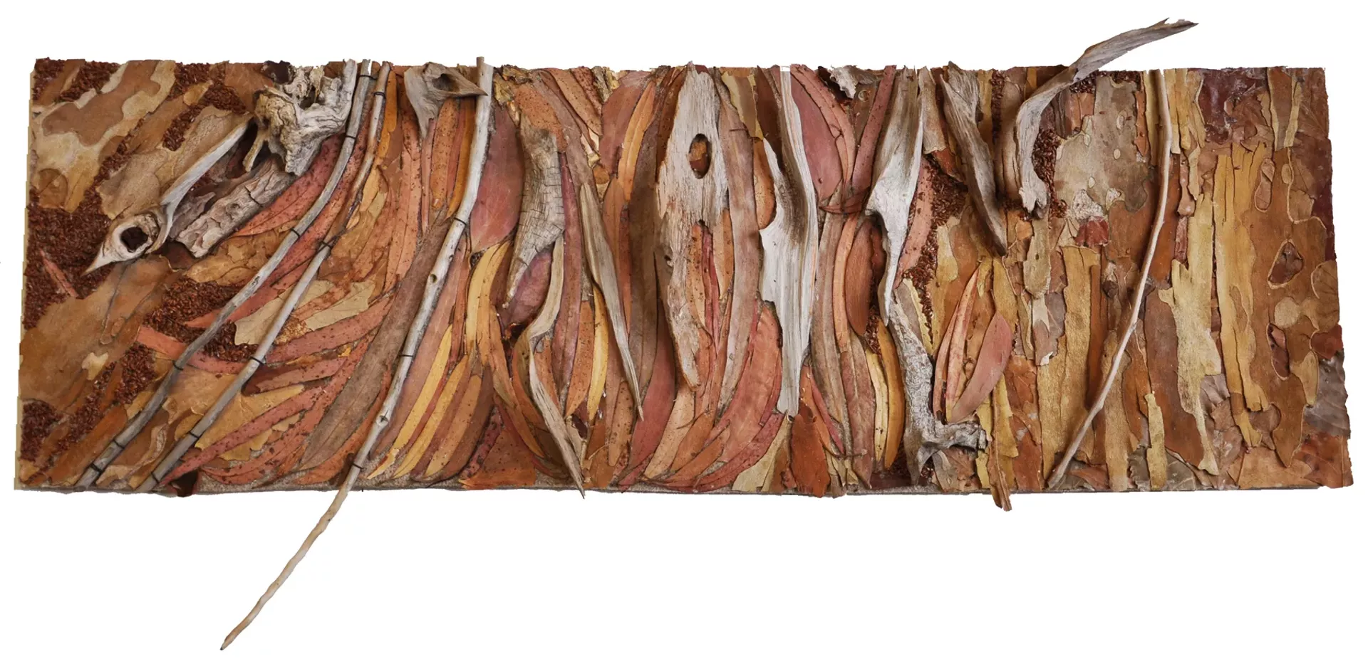 "Eucalyptus" by Dianne Shullenberger