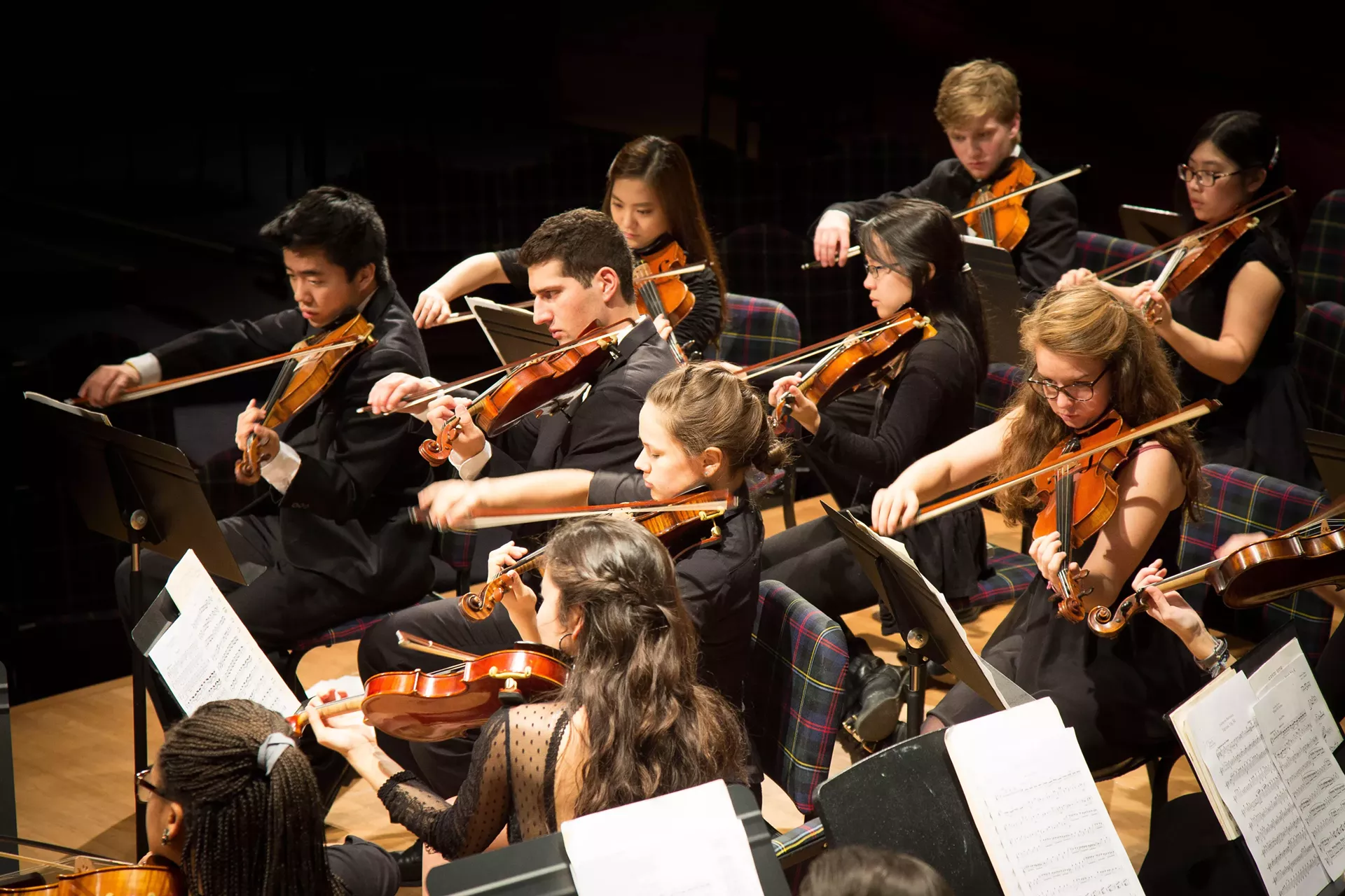 orchestra.webp