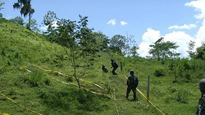 Mine-detection dogs, like the one above searching a hillside in Nicaragua,