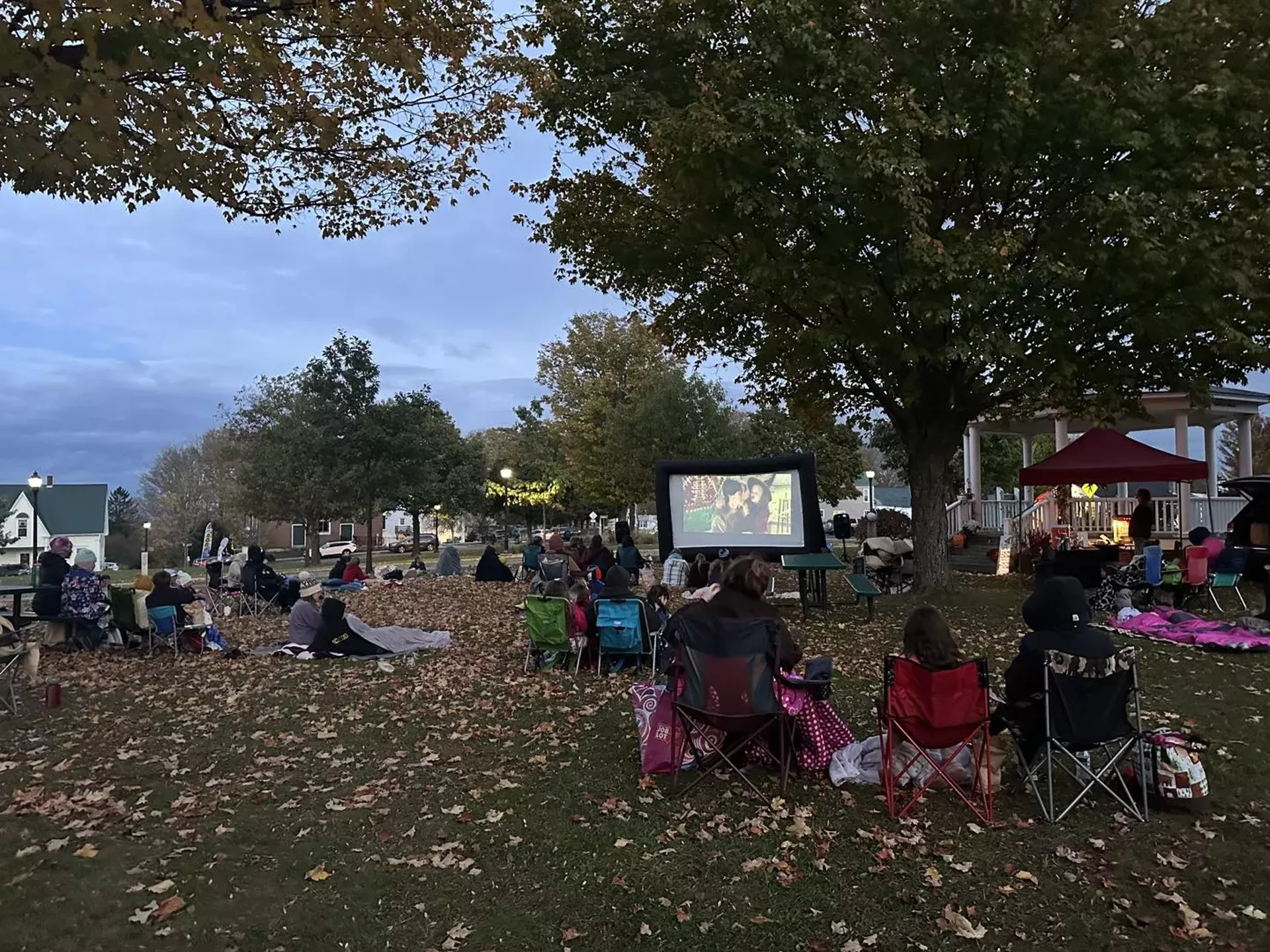 Movie Night on the Green
