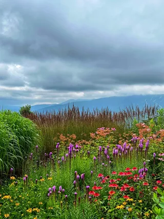 Image: MRVarts Garden Tour and Pre-Tour Social