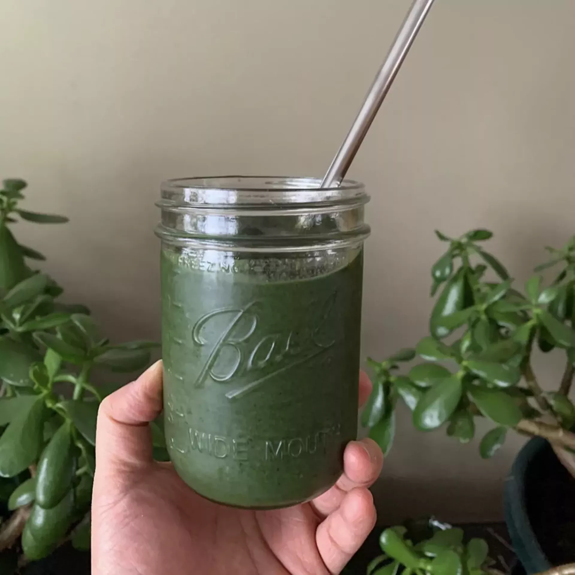 Cricket smoothie
