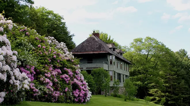 Image: Naulakha Estate & Rhododendron Tour