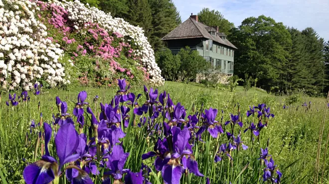 Image: Naulakha Estate & Rhododendron Tour