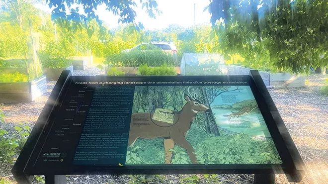 Image: New Illustrations Tell the History of Burlington's Intervale