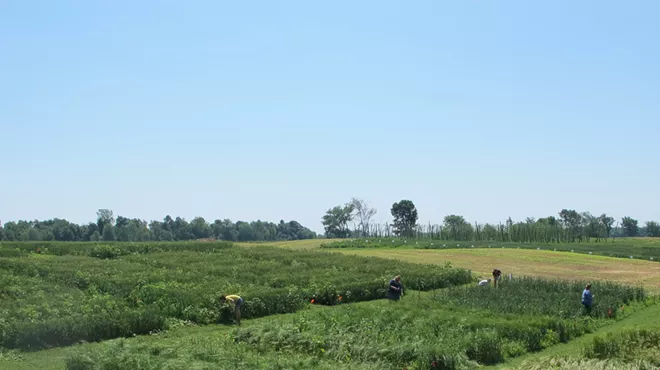 Image: No-Till & Cover Crop Conference